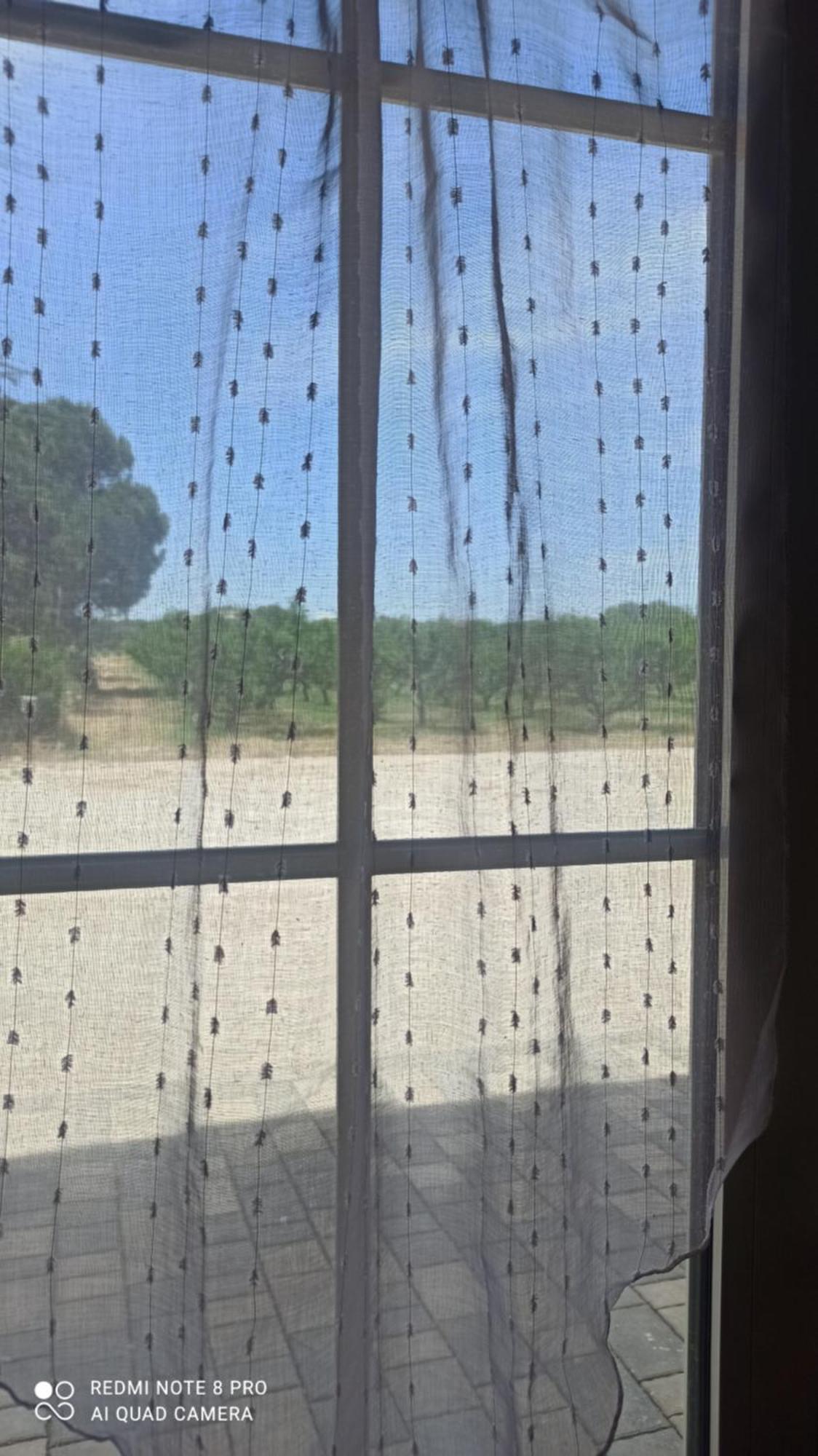 Agriturismo L' Annunziata Lizzano  Pokoj fotografie