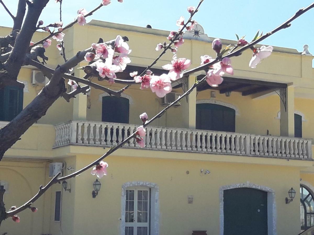 Agriturismo L' Annunziata Lizzano  Exteriér fotografie